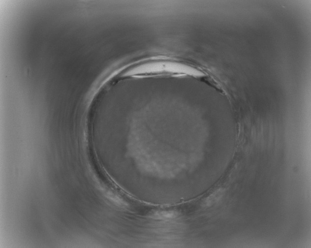 X0000065980247200603311912