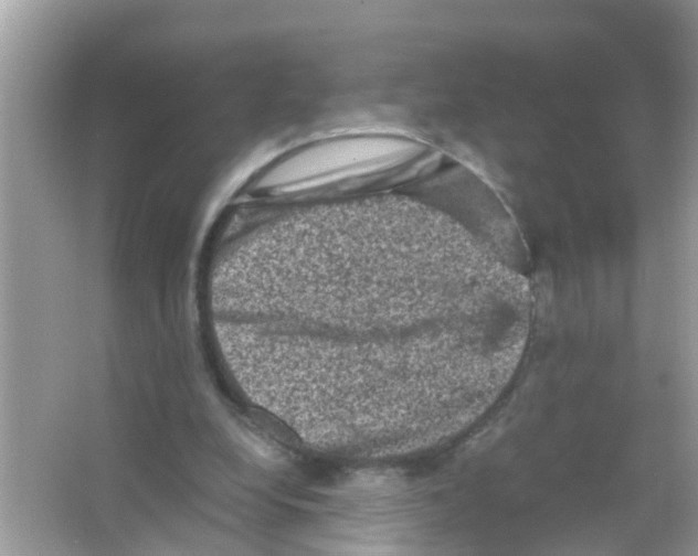 X0000065980248200603311912