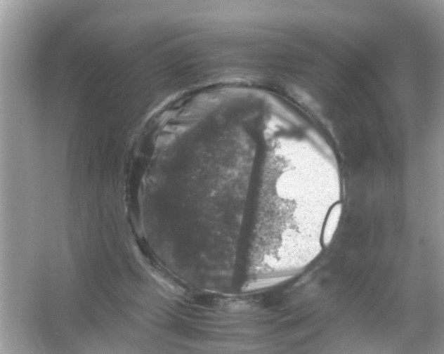 X0000065980249200603311912