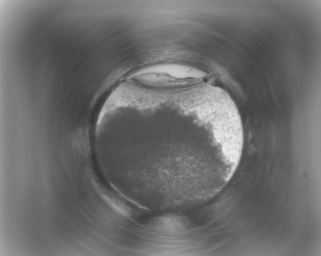 X0000065980250200603311912