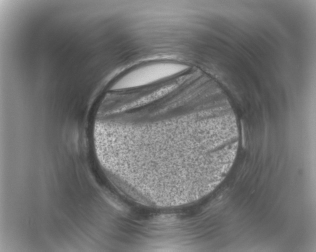 X0000065980252200603311912