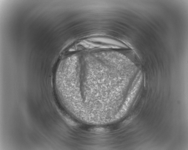 X0000065980253200603311912