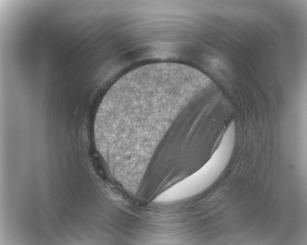 X0000065980256200603311912