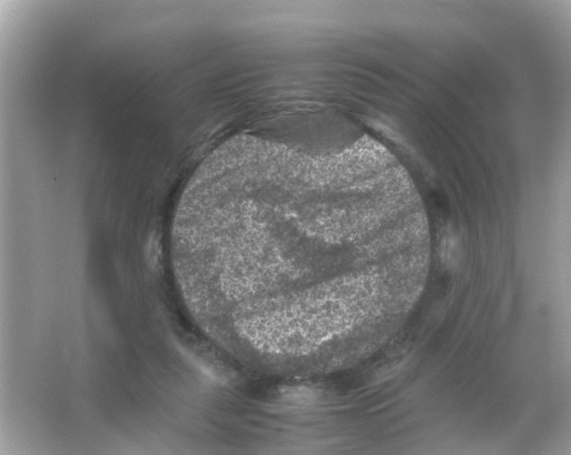 X0000065980259200603311912