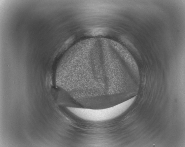 X0000065980260200603311912