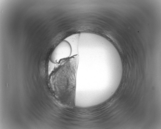 X0000065980261200603311912