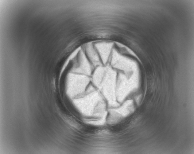 X0000065980262200603311912