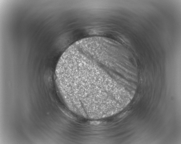 X0000065980265200603311912