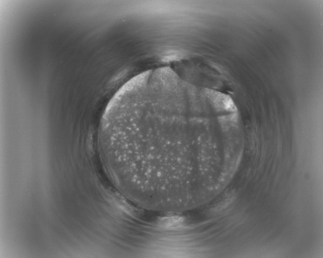 X0000065980266200603311912