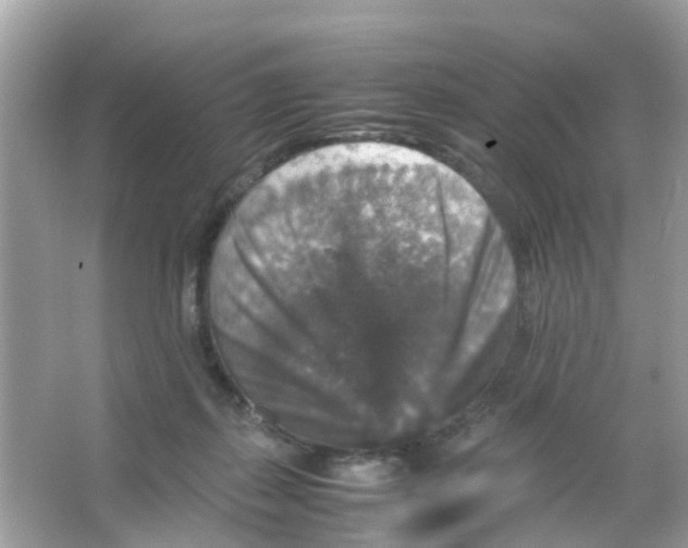 X0000065980267200603311912