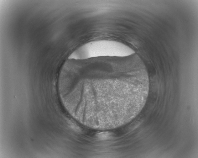 X0000065980269200603311912