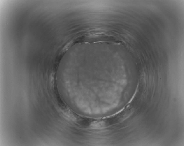 X0000065980271200603311912