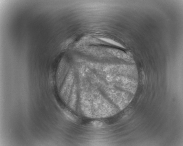 X0000065980272200603311912