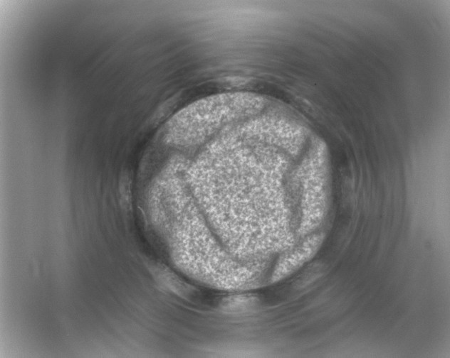 X0000065980274200603311912