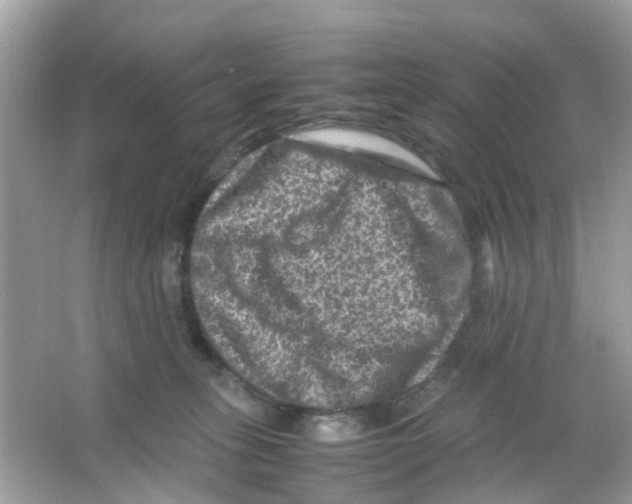 X0000065980275200603311912