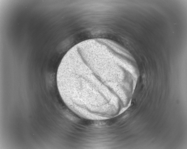 X0000065980278200603311913