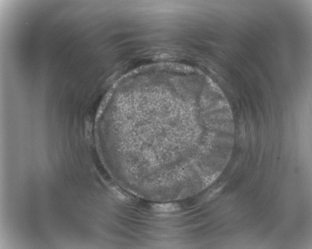 X0000065980281200603311913