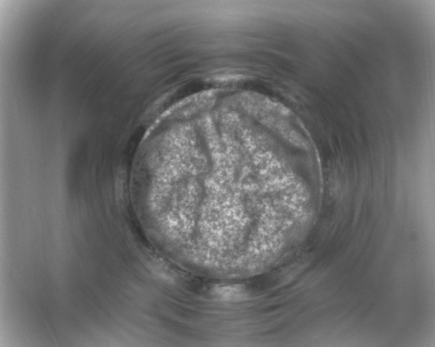 X0000065980283200603311913