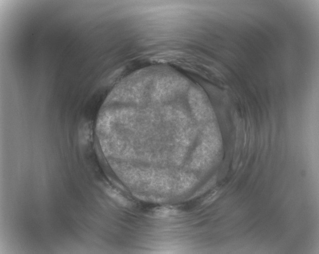 X0000065980284200603311913