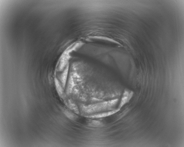 X0000065980285200603311913