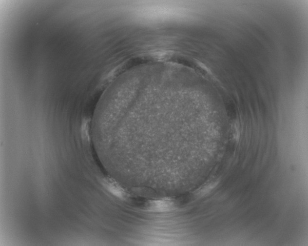 X0000065980286200603311913