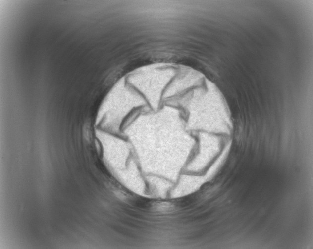 X0000065980287200603311913