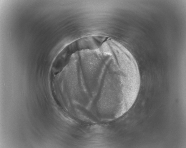 X0000065980290200603311912