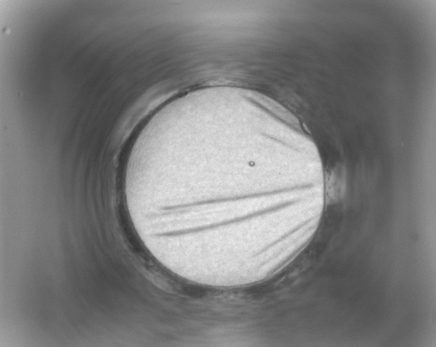 X0000065980291200603311912