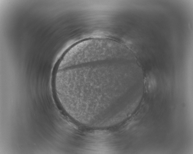 X0000065980292200603311912