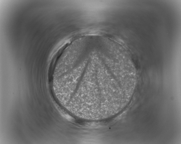 X0000065980293200603311912