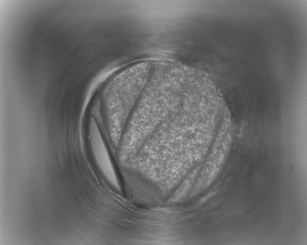 X0000065980294200603311912