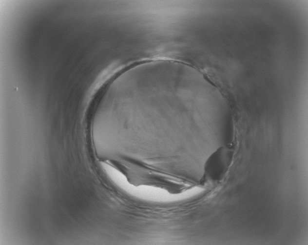 X0000065980295200603311912