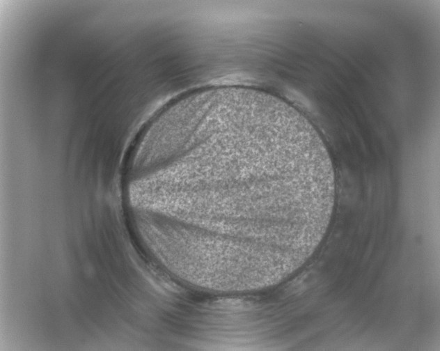 X0000065980298200603311912