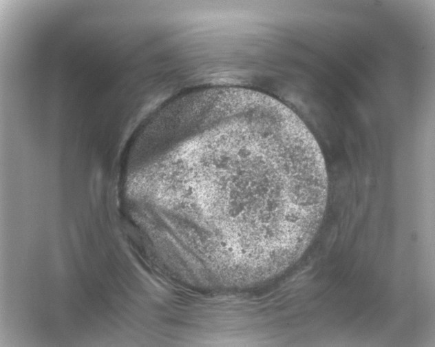 X0000065980299200603311912