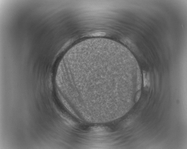 X0000065980300200603311912