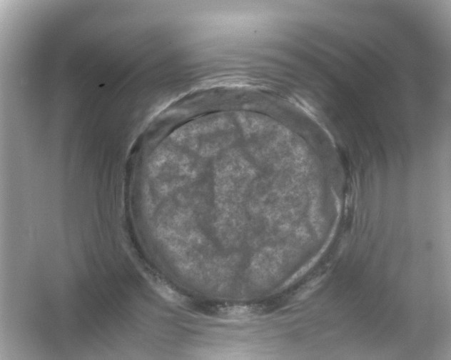 X0000065980301200603311912