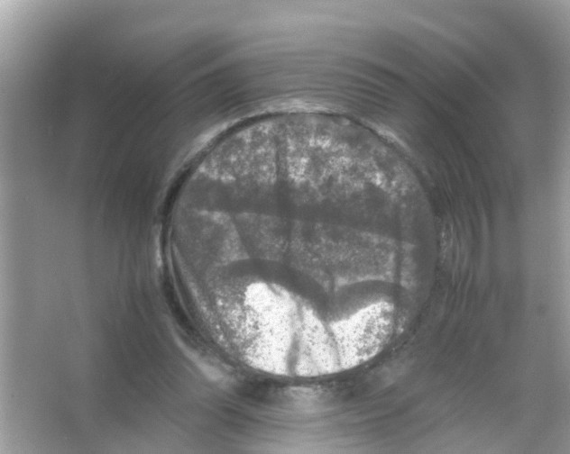 X0000065980302200603311912