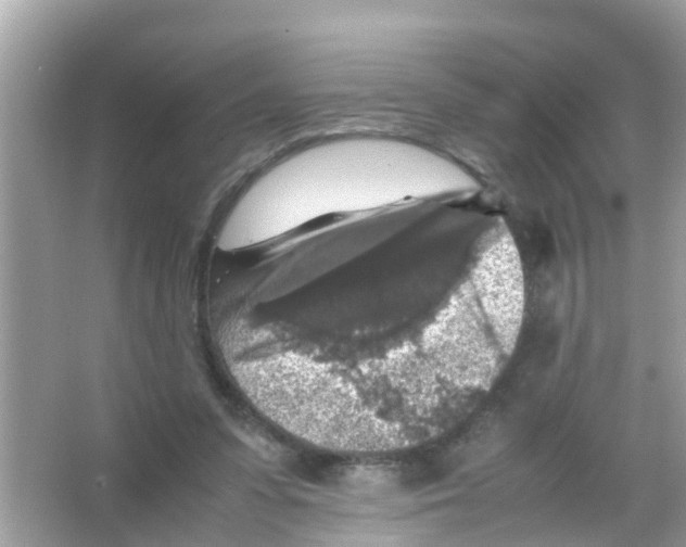 X0000065980303200603311912