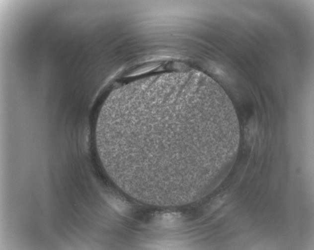 X0000065980304200603311912