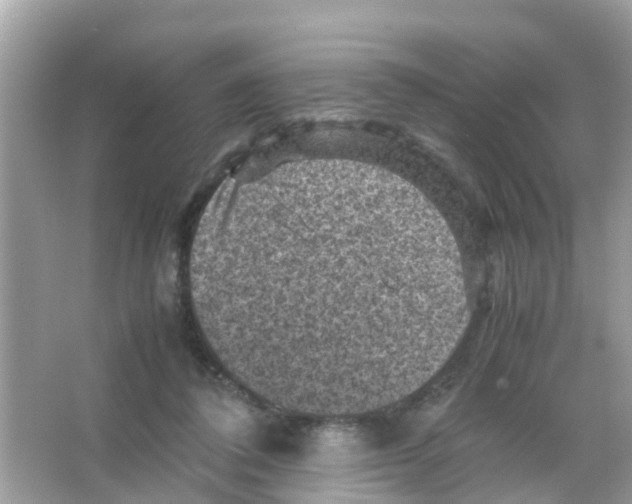 X0000065980308200603311912