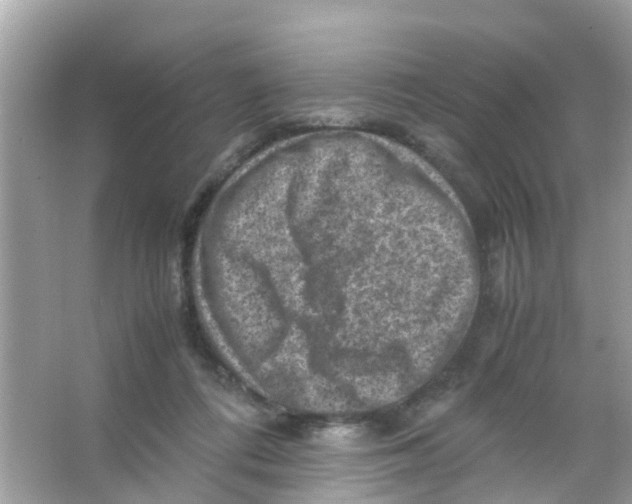 X0000065980312200603311911