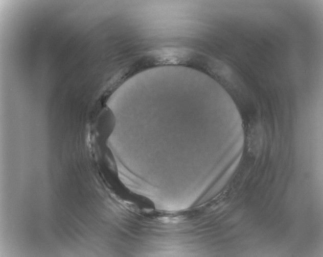 X0000065980314200603311911