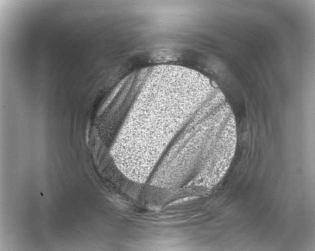 X0000065980315200603311911