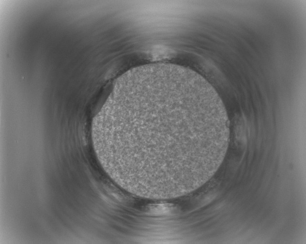 X0000065980316200603311911