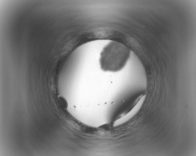 X0000065980317200603311911