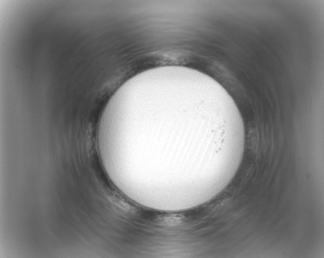 X0000065980318200603311911