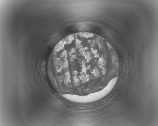 X0000065980319200603311911