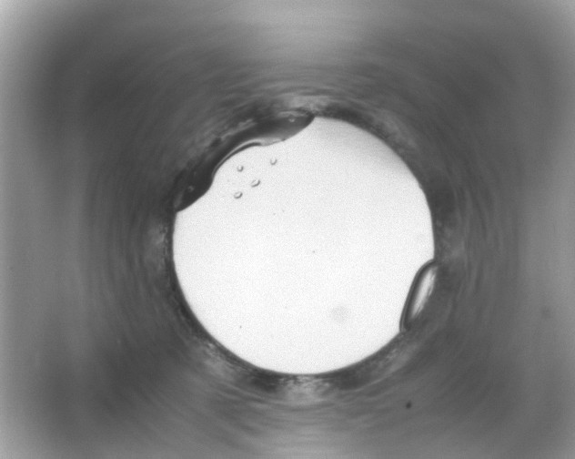 X0000065980321200603311911