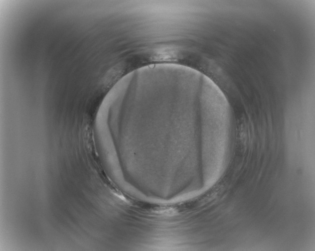 X0000065980322200603311911