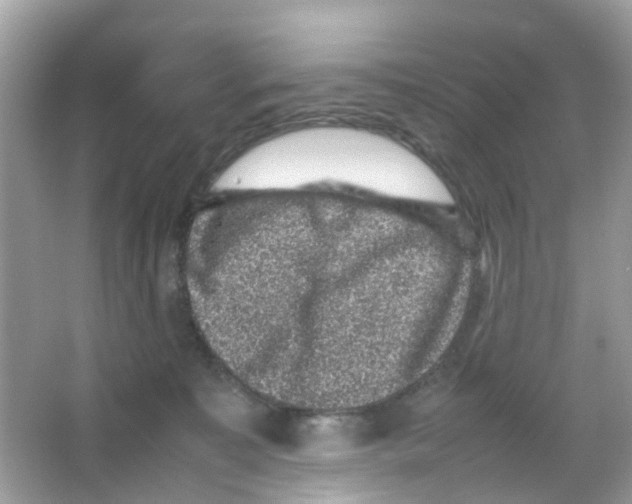 X0000065980323200603311911